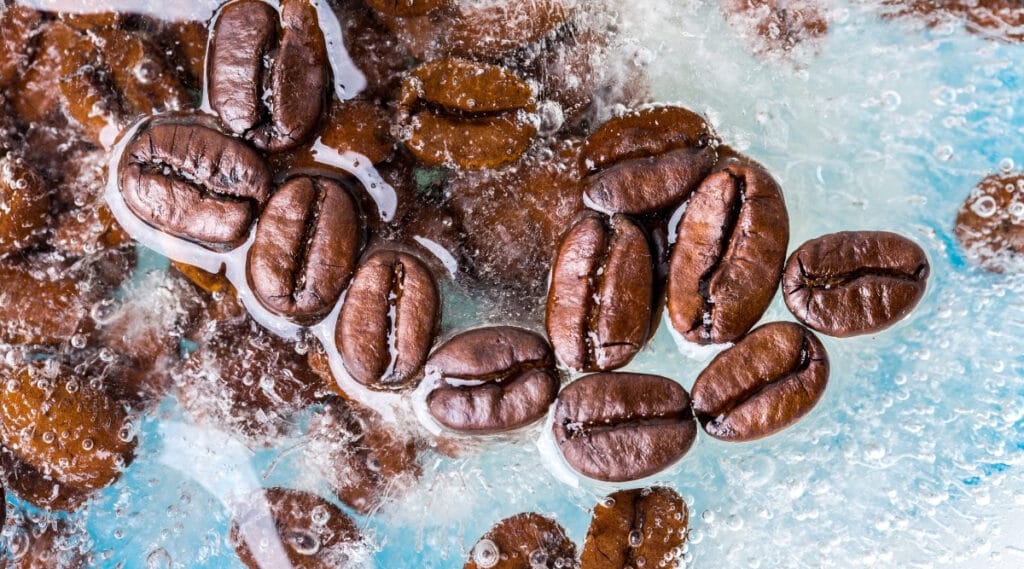 Frozen coffee beans to maintain the flavor of the bean.