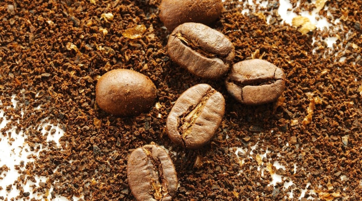 How to Grind Coffee Beans Without A Grinder